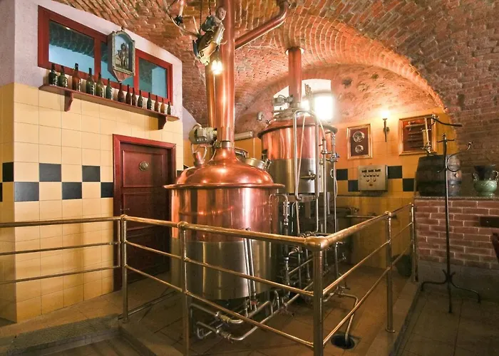 Císař Ferdinand Hotel Loket